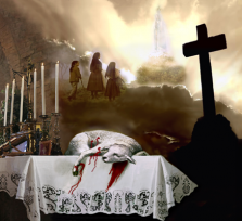 n. 20 del 18 gennaio 2026