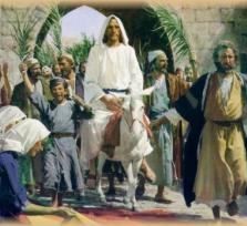 n. 30 del 29 Marzo 2026 PALME