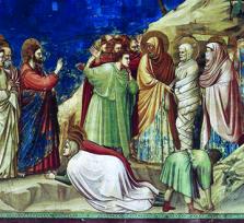 n. 29 del 22 Marzo 2026