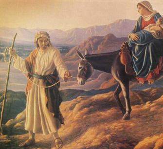 n. 17 del 28 dicembre 2025