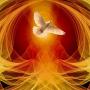 n. 39 del 08 giugno 2025 - PENTECOSTE