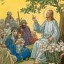 Sulla strada - video con commento al vangelo della domenica