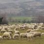 Sulla strada - video con commento al vangelo della domenica