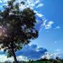 Sulla strada - video con commento al vangelo della domenica